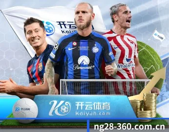 NG28 APP 界面